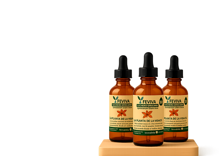 FEVIVA FEVIVA