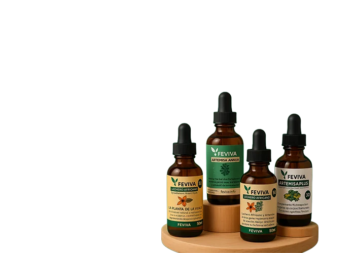 FEVIVA FEVIVA