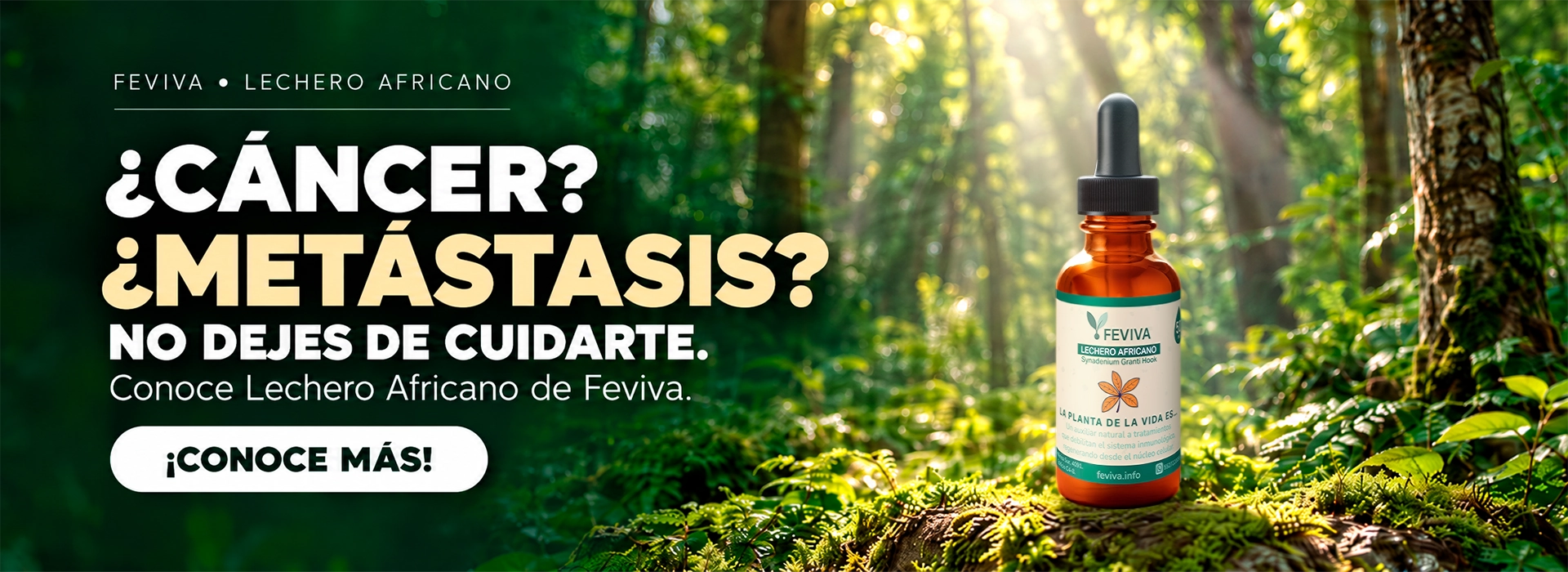 ¿Cáncer? ¿Metástasis? No dejes de cuidarte.