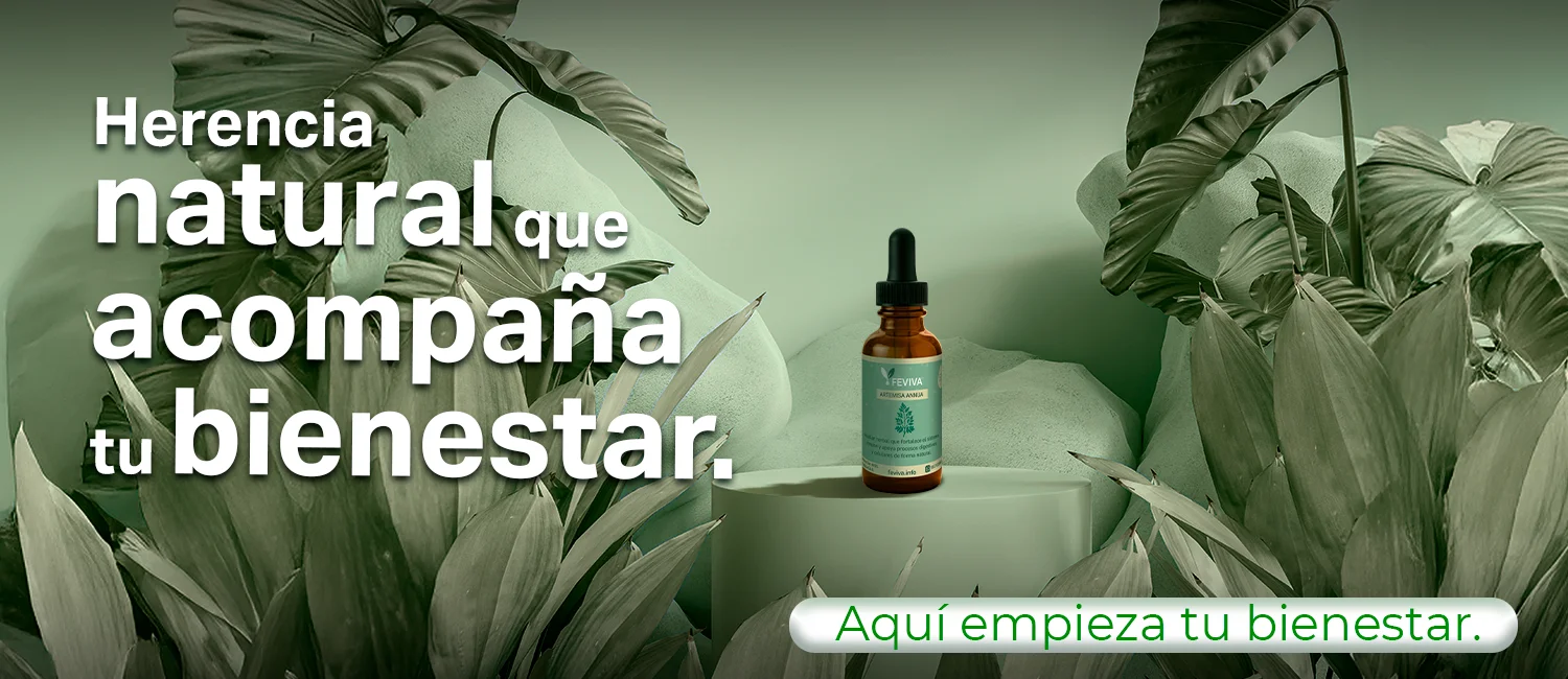 Feviva Feviva