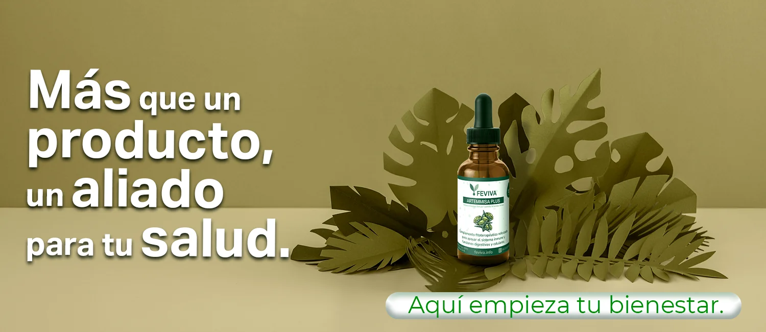 Feviva Feviva
