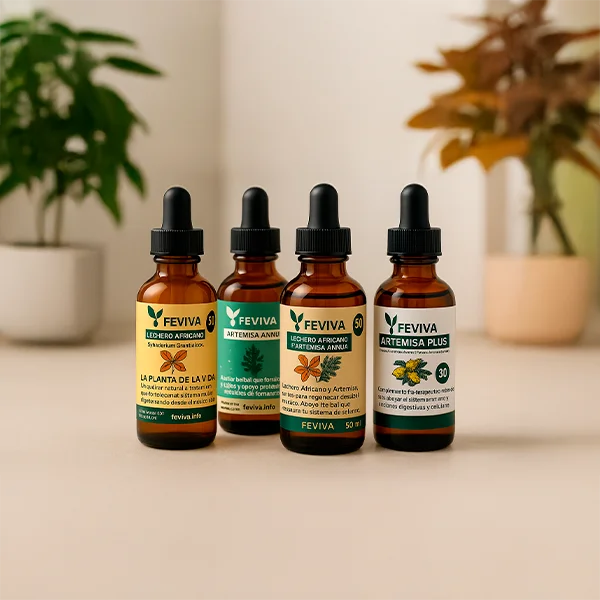 Feviva