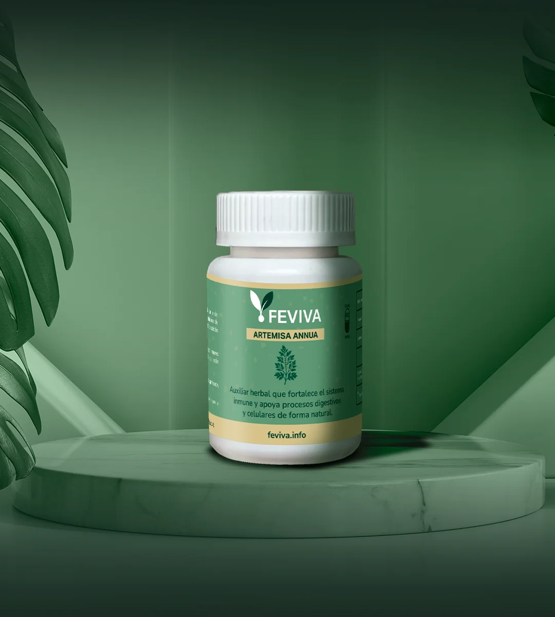 Feviva