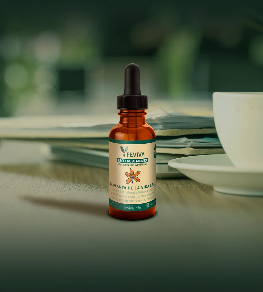 Lechero Africano Lechero Africano Feviva