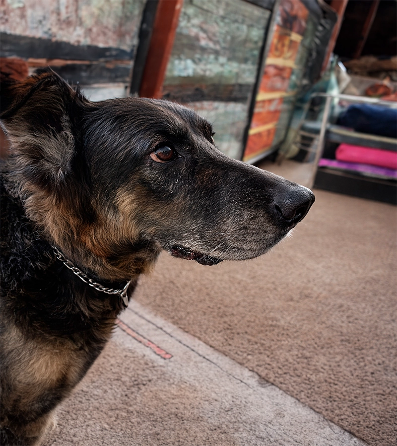 Historias de Bienestar Feviva